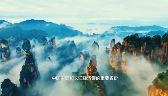  張家界被外交部全球推介，桑植白茶亮相冷餐招待會(huì)！ 