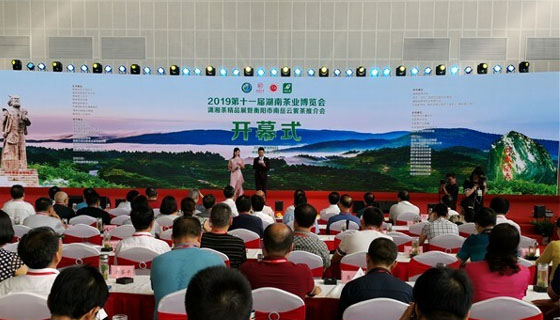 桑植白茶“閃耀”湖南省第十一屆茶博會