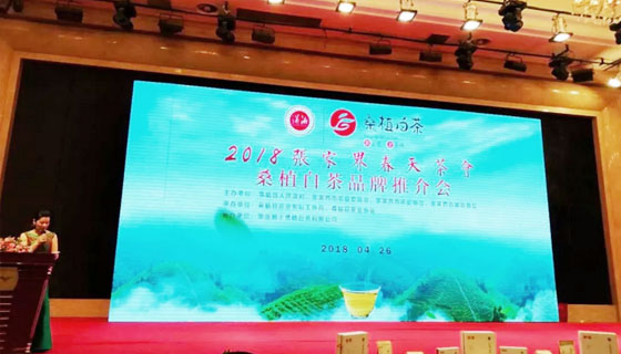 相約春天，湘豐桑植白茶正式發(fā)布 