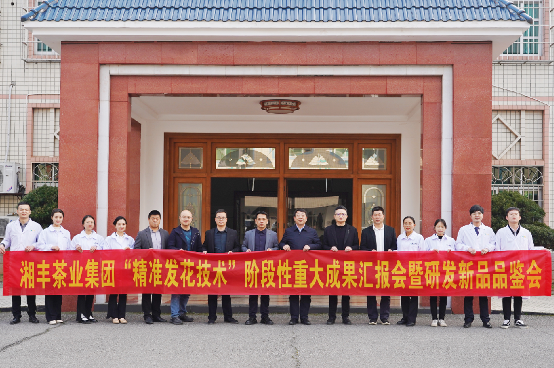 湘豐茶業(yè)集團“精準發(fā)花技術(shù)”取得重大階段性成果！
