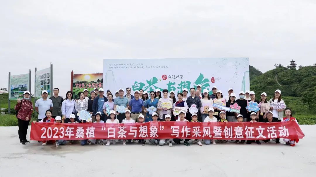 桑植白茶與文學邂逅 文化賦能茶產(chǎn)業(yè)發(fā)展