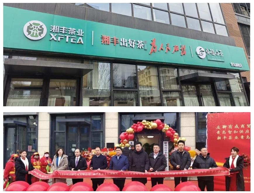 青島旗艦店盛大開業(yè)！湘豐茶業(yè)集團全國布局再下一城